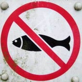 Ограничения и запреты на рыбалку 2016 год в РК