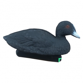 Утка "Лысуха"